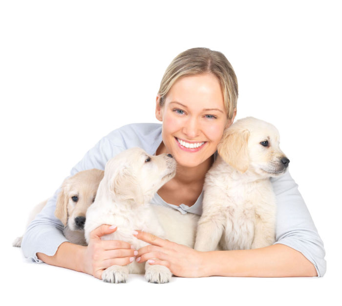 Are You Looking for Pet Care Services in Parkville, MO?