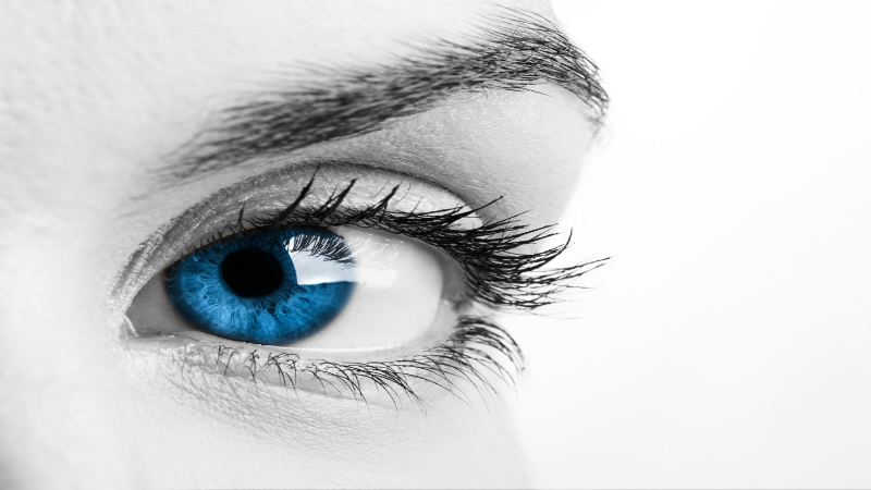 What You Should Consider When Choosing Eye Care in Jacksonville, FL